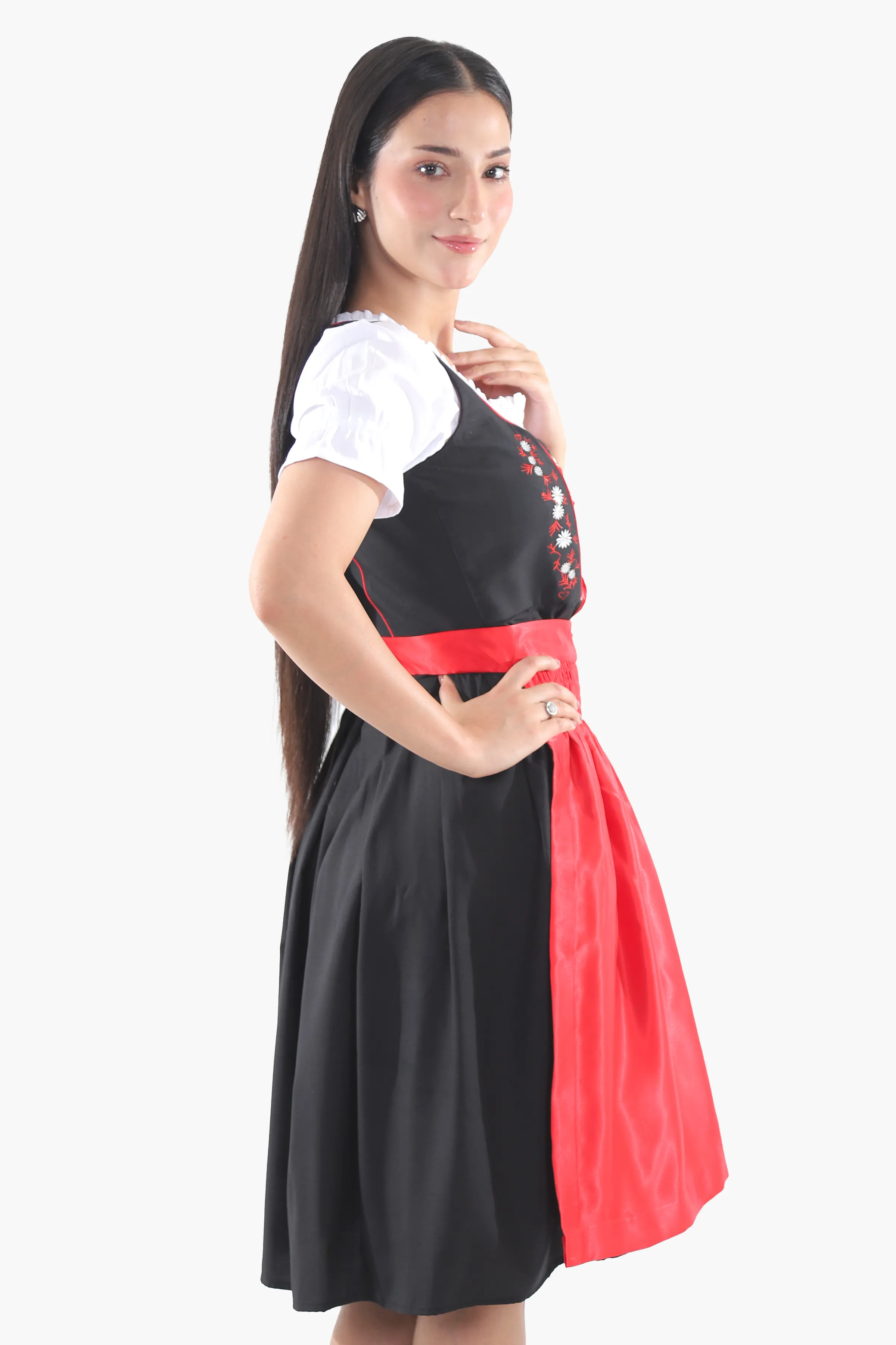 Black Dirndl Dress Red Embroidery Charm - Image 6