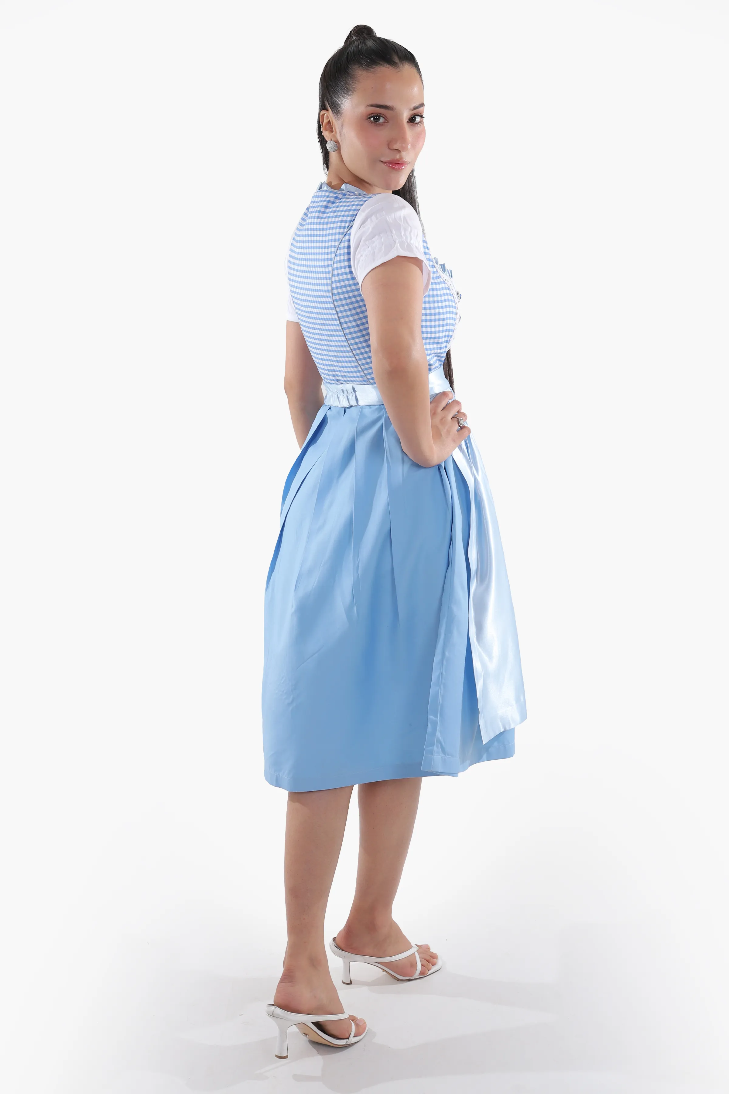 Classic Blue Checkered Dirndl - Image 4