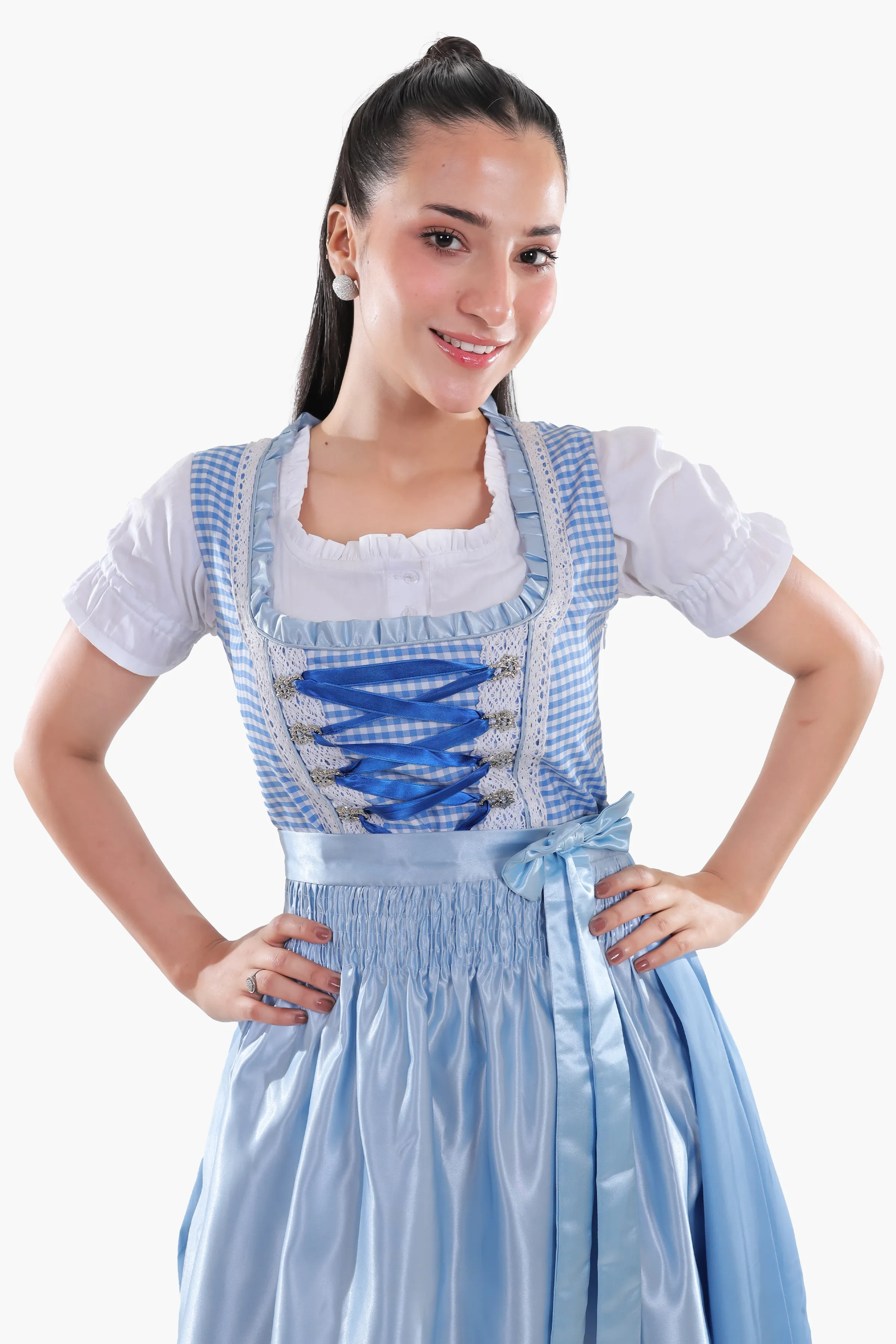 Classic Blue Checkered Dirndl - Image 5