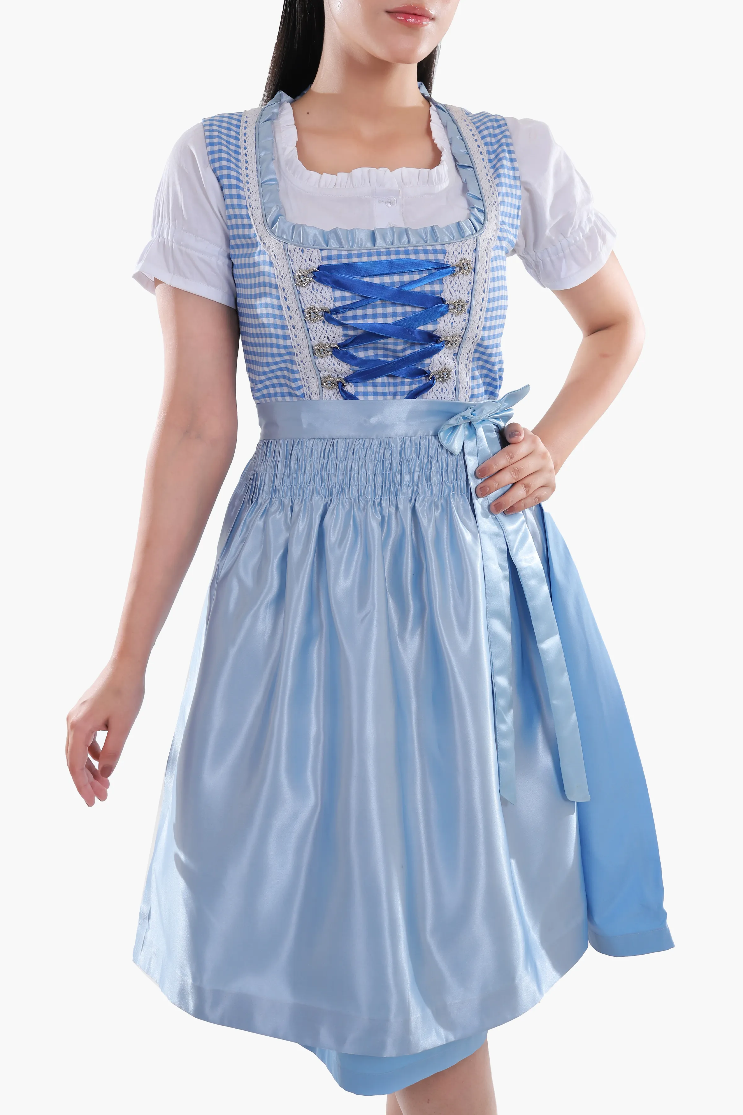 Classic Blue Checkered Dirndl - Image 6