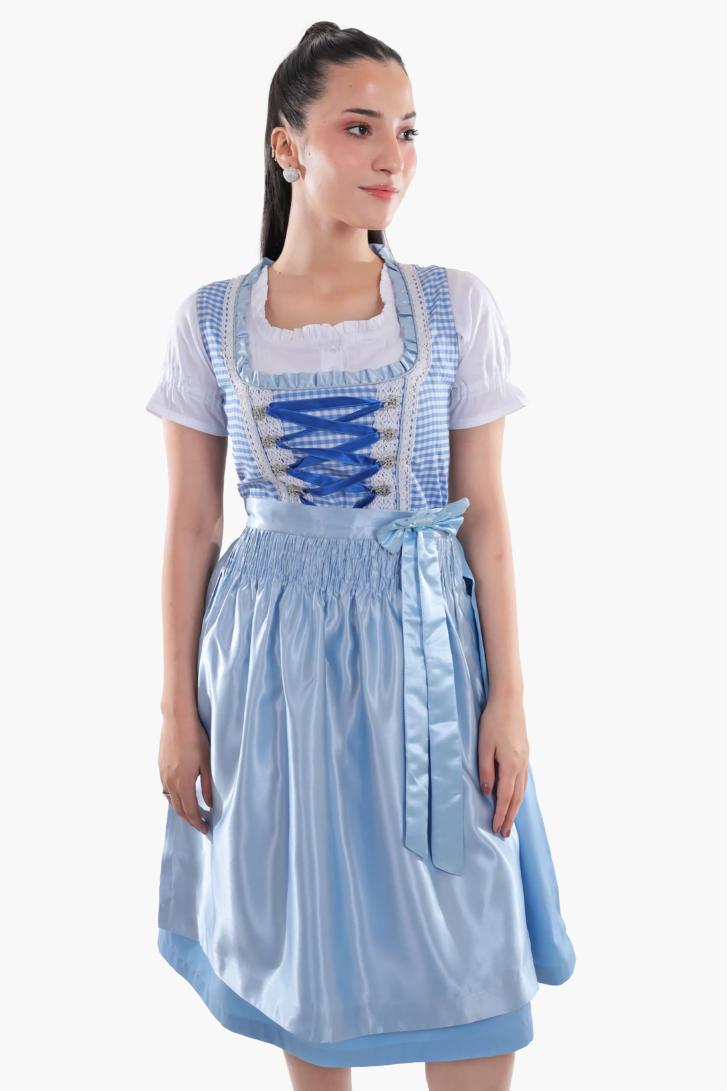 Classic Blue Checkered Dirndl - Image 7
