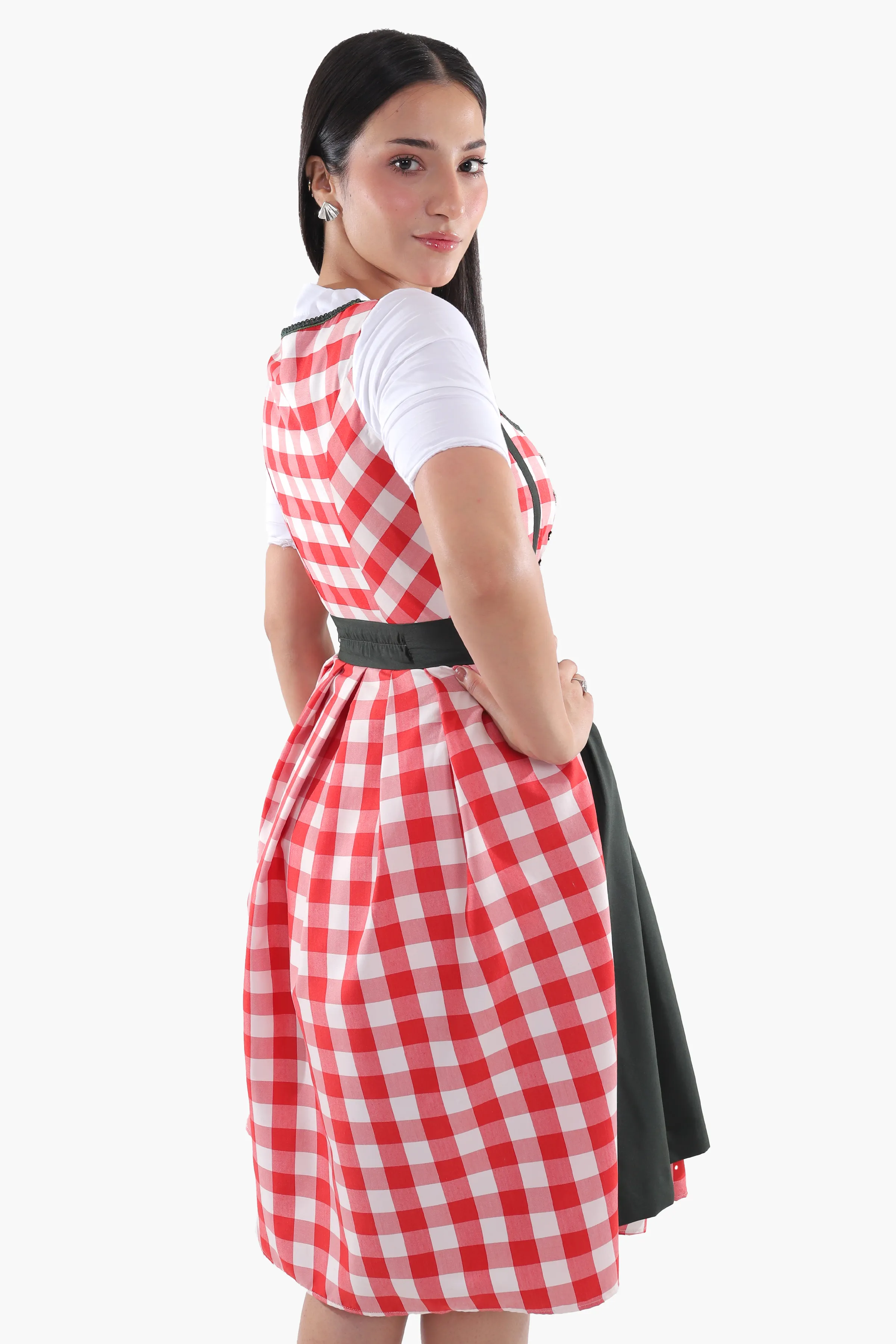 Red Checkered Bodice Traditional Dirndl Dress - Image 5
